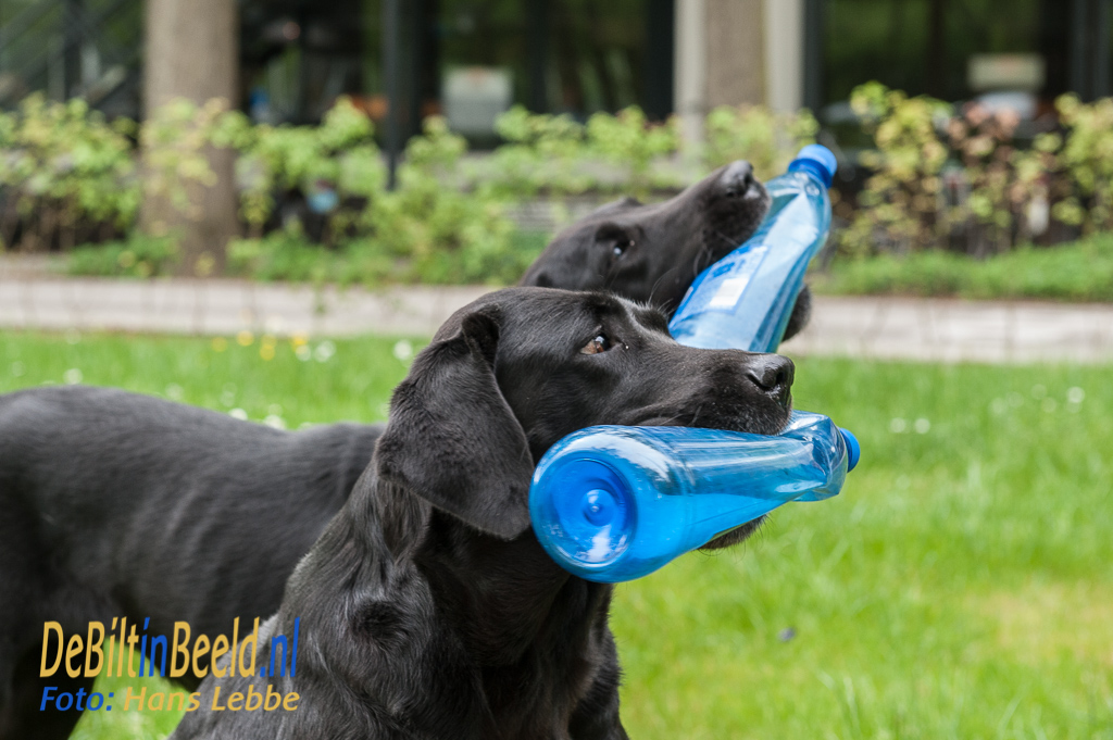Van der Valk plastic doppen actie Blindegeleidehonden